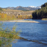 Caribou Targhee National Forest